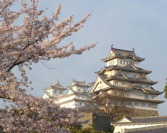 lau dai osaka